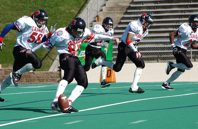 的弗雷德於 的弗雷德於