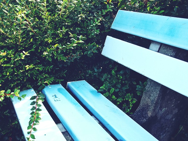 疑是国王队 疑是国王队