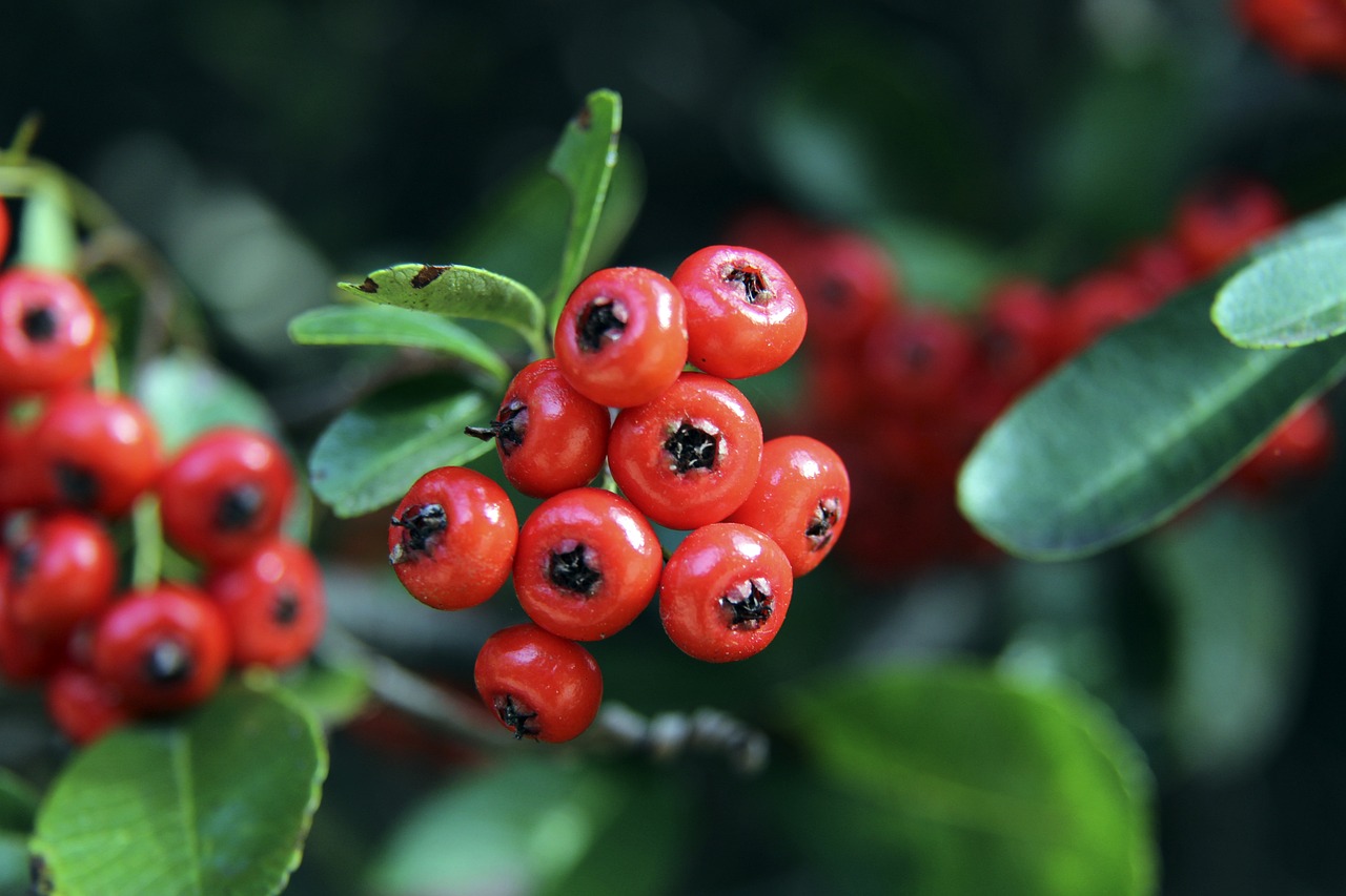 进行比赛 进行比赛