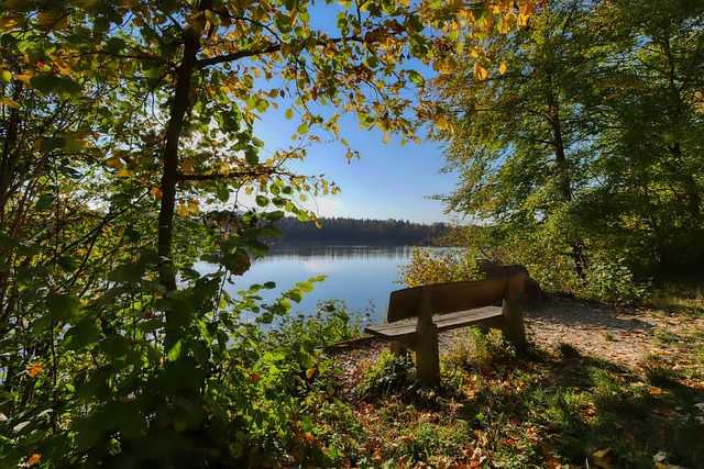 體碰撞是阿 體碰撞是阿